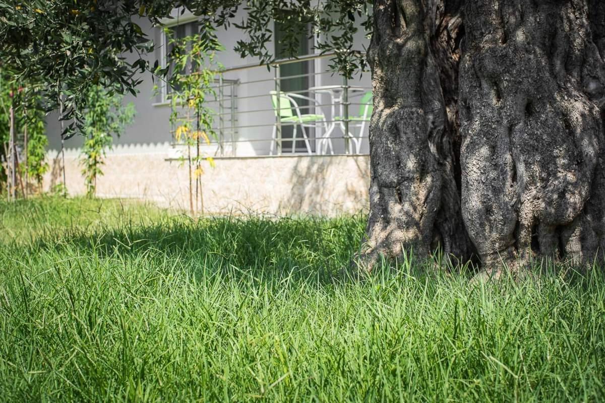 Appartamento Mougkrasstudio Skala Rachoni  Esterno foto